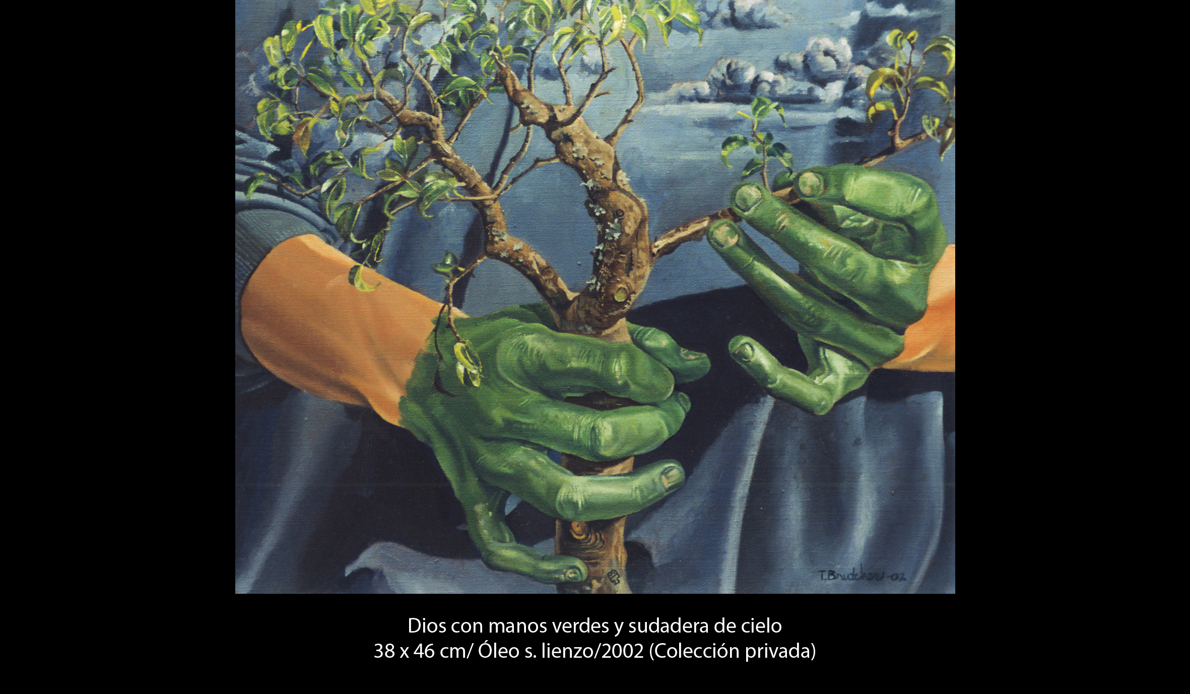 Dios con las manos verdes y sudadera Teresa Brutcher