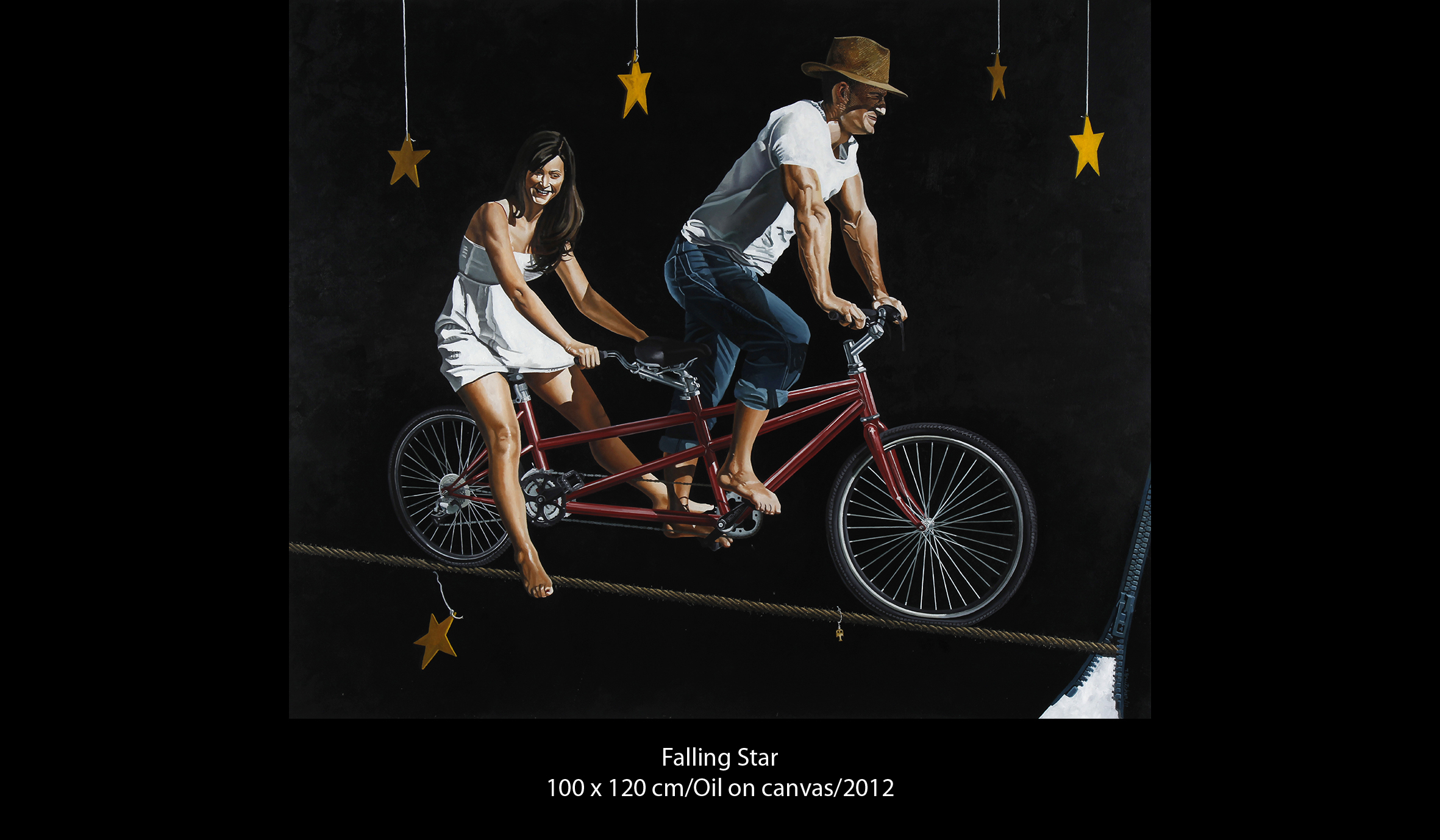 Falling-Star-Teresa-Brutcher