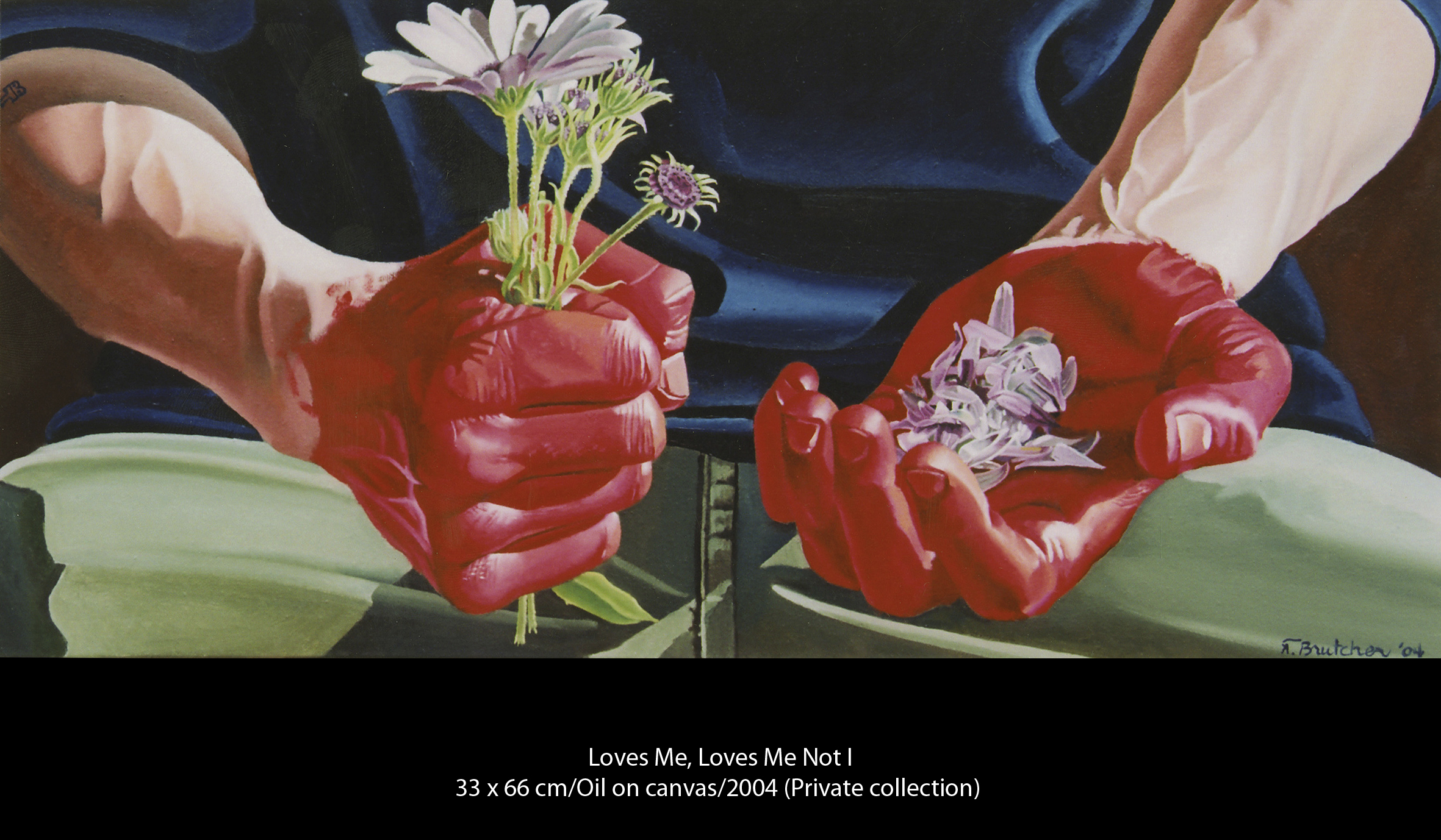 Loves-Me-Loves-Me-Not-Teresa-Brutcher